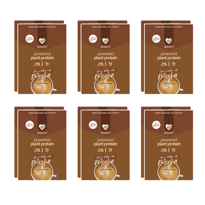 On-the-Go Plant Protein Sachets | Single Servings (6, 12, 18 Packs) - Wishfit Wellness